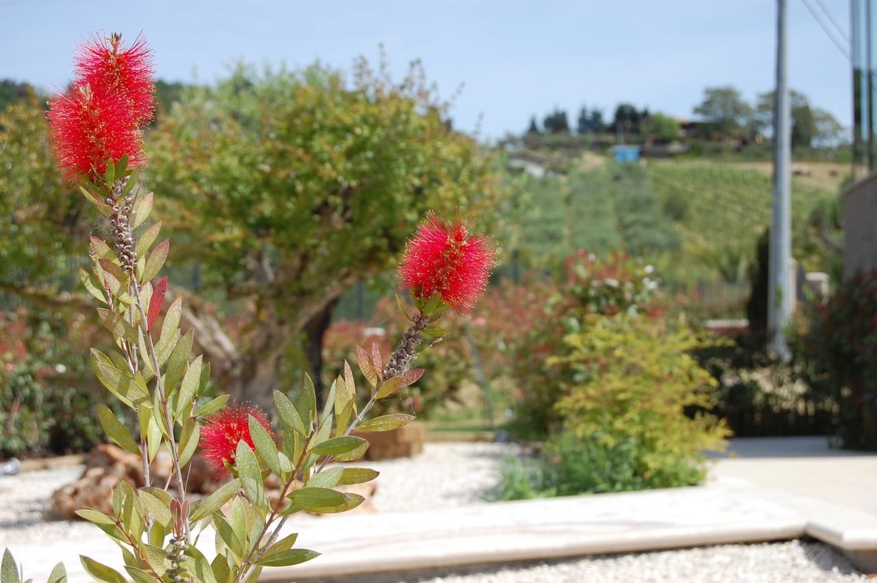 Ciliegia Rossa Aparthotel